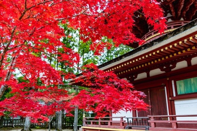 mt-koya-1-day-bus-tour-from-osaka