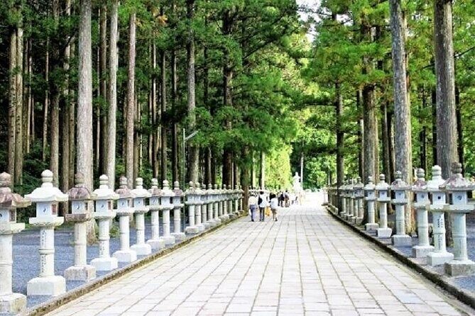 Mt Koya 2 Day Walking Tour from Osaka - The Experience in Detail: What Sets It Apart