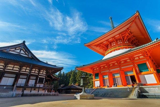 mt-koya-sacred-4hr-private-tour-with-government-licensed-guide