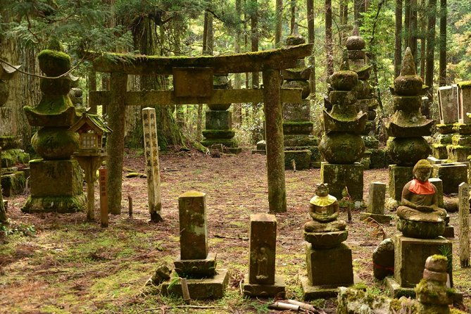 mt-koya-sacred-4hr-private-tour-with-government-licensed-guide