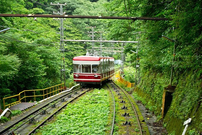 mt-koya-sacred-6hr-private-tour-with-government-licensed-guide