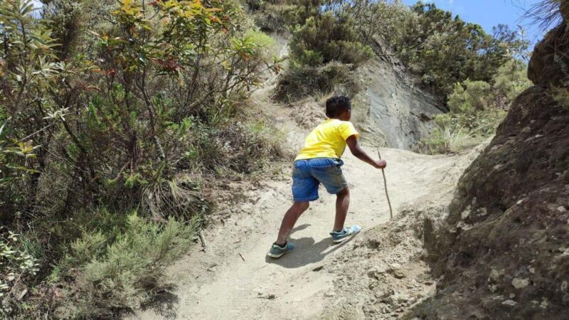 Mt Longonot National park Day Hike - Key Points