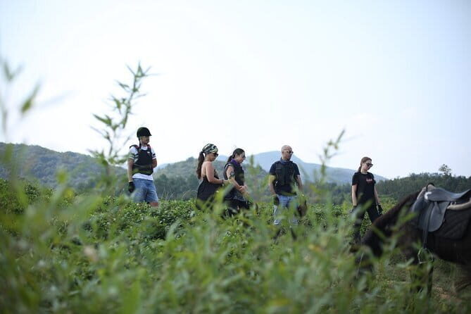 Mt Mogan Horse Riding - Half-day Outdoor Trail Riding near Hangzhou - What to Expect from the Itinerary