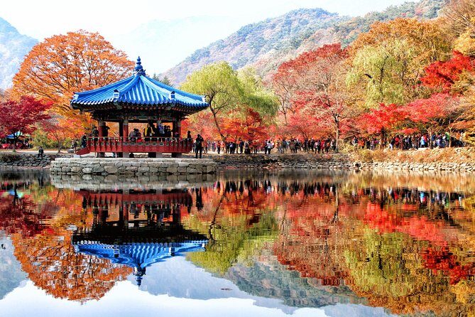 MT. Naejang Autumn Foliage and Jeonju Hanok village 1 Day Tour - Key Points