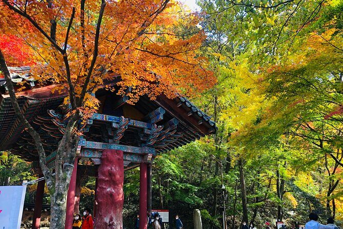 MT. Naejang Autumn Foliage and Jeonju Hanok village 1 Day Tour - Who Is This Tour Best For?