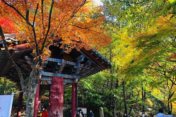 MT. Naejang Autumn Foliage and Jeonju Hanok village 1 Day Tour - The Sum Up