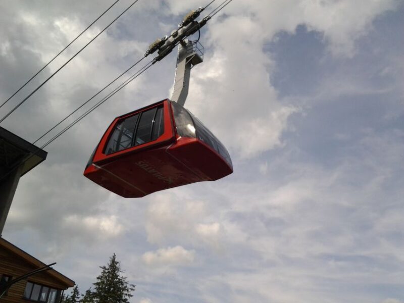Mt.Pilatus Golden Roundtrip Small Group Day Trip from Luzern - Real Experiences from Travelers