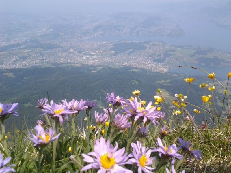 Mt.Pilatus Golden Roundtrip Small Group Day Trip from Luzern - The Sum Up