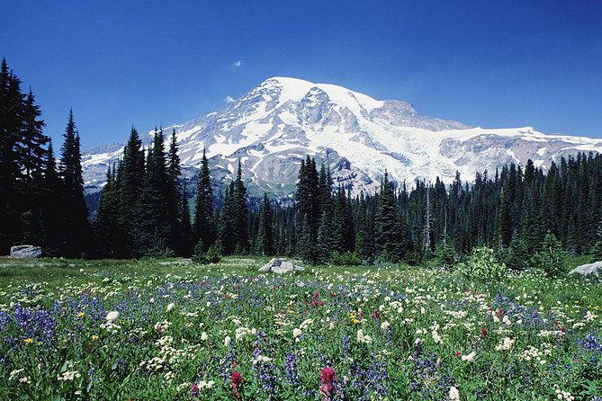 mt-rainier-day-tour-from-seattle
