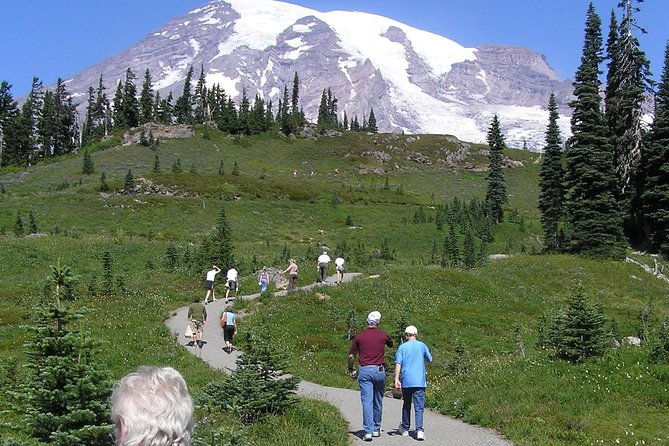 mt-rainier-day-tour-from-seattle