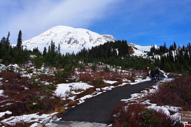 mt-rainier-day-tour-from-seattle
