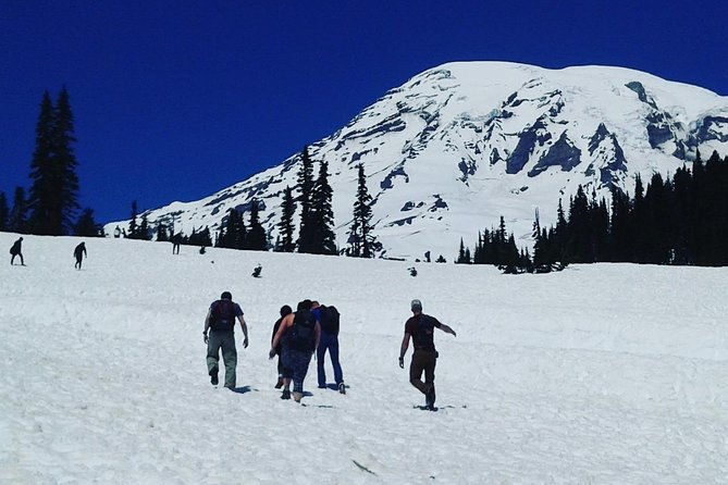 mt-rainier-private-tour-experience-in-suv-2