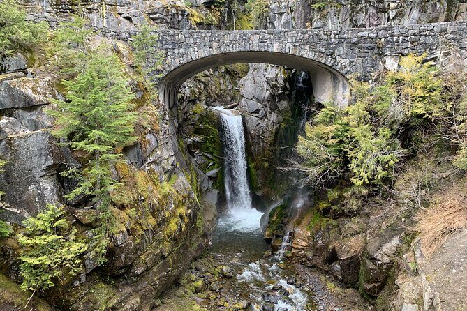 Mt. Rainier Tour and Guided Hike - The Sum Up: Who Should Consider This Tour?