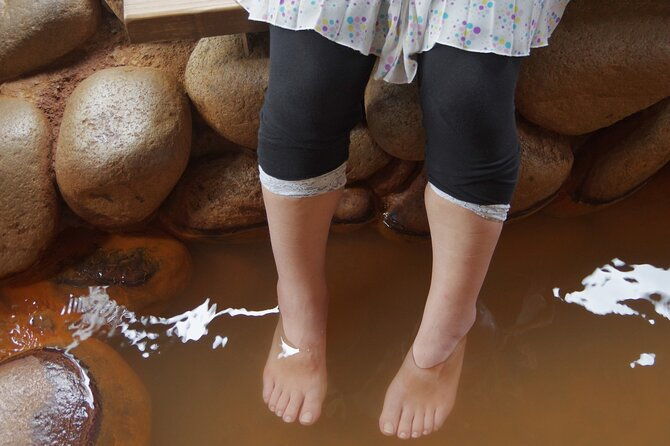 mt-rokko-and-arima-hot-spring-from-osaka