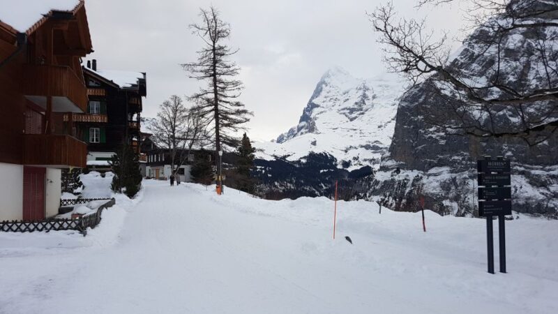Mt. Schilthorn & Mürren Private Day Trip from Zürich - What Travelers Love Most
