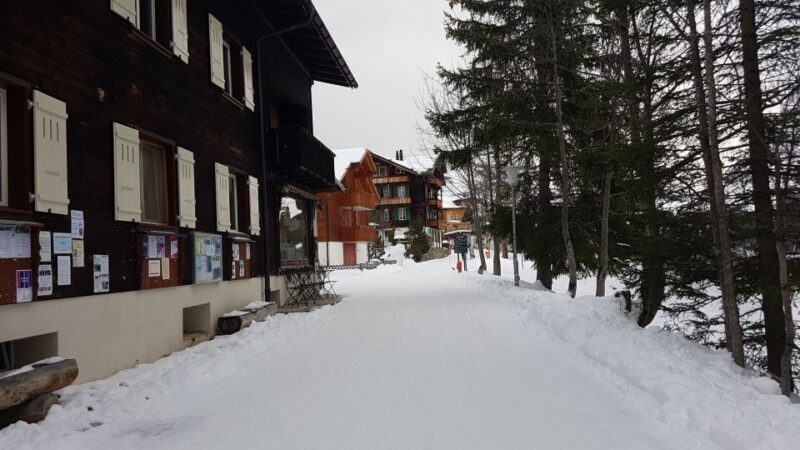 Mt. Schilthorn & Mürren Private Day Trip from Zürich - Final Thoughts