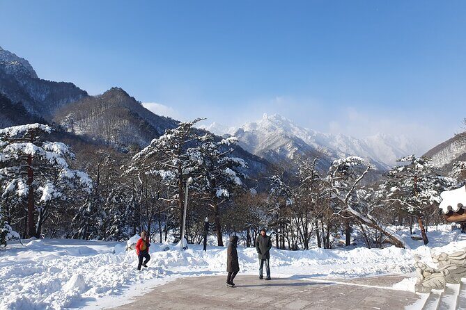 Mt. Seorak and Nami Island and Eobi Ice Valley from Seoul - FAQs