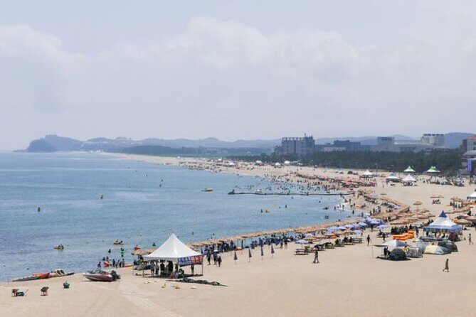 Mt.Seorak & Naksan Temple Day Trip from Seoul - The Sum Up