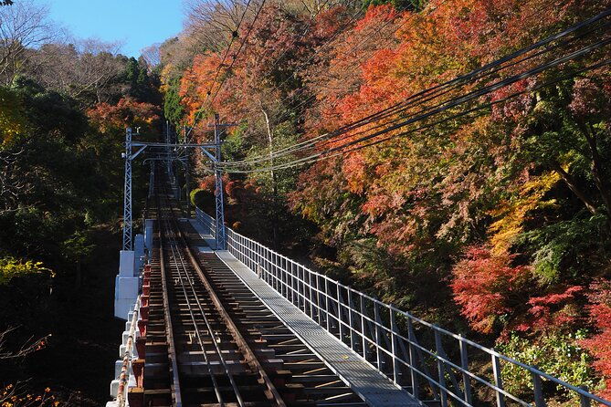 mt-takao-trekking-1-day-tour