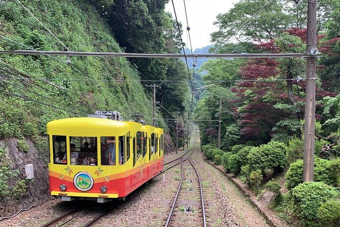 mt-takao-trekking-1-day-tour