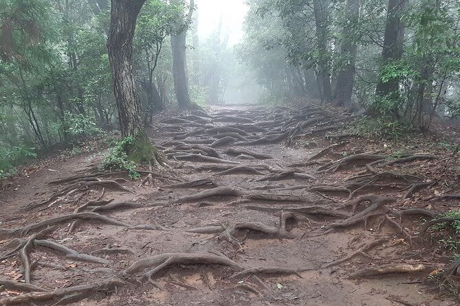 mt-takao-with-hot-spring-private-tour