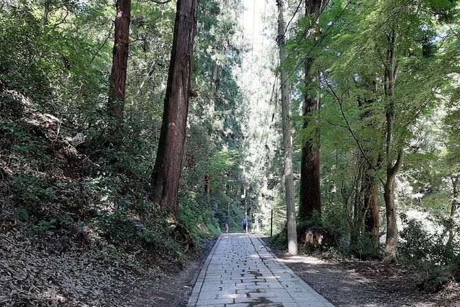 mt-takao-with-hot-spring-private-tour