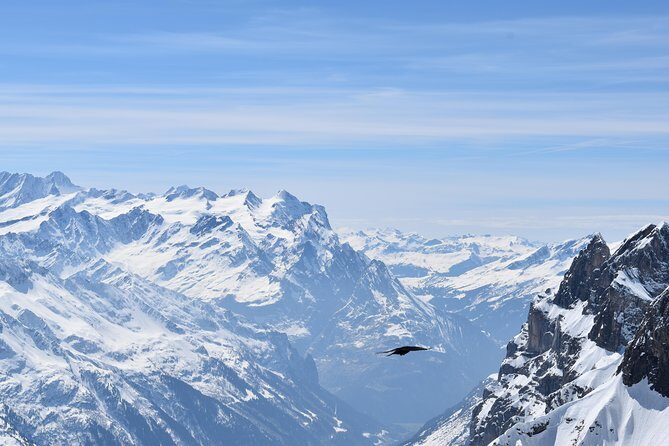 Mt. Titlis First Time Ski Experience from Zurich - Practical Tips for Your Mt. Titlis Experience