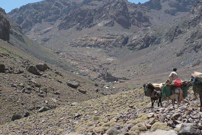 Mt Toubkal Ascent Express Trek 2 Days 1 Night - What’s Included and What to Consider