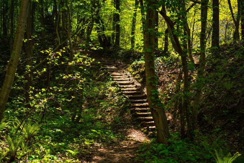 mt-usu-hike-to-the-crater-and-see-the-stunning-lake-toya