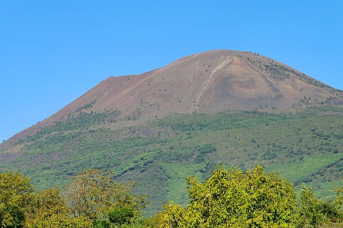 mt-vesuvius-half-day-trip-from-naples