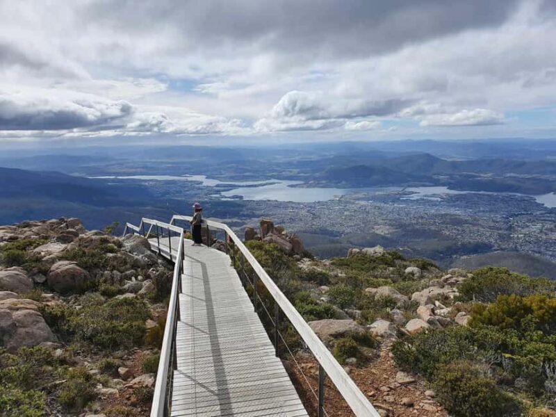 Mt Wellington Afternoon Small Group Driving Tour - A Complete Breakdown of the Mt Wellington Experience