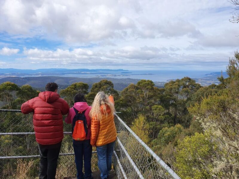 Mt Wellington Afternoon Small Group Driving Tour - Final Thoughts