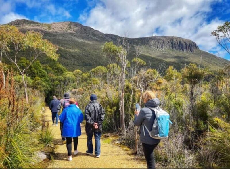 Mt Wellington Ultimate Afternoon Tour - Key Points