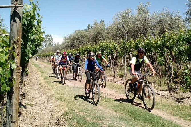 mtb-a-tour-of-the-wineries-and-their-vineyards