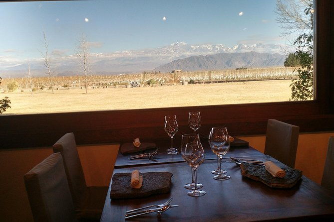 mtb-a-tour-of-the-wineries-and-their-vineyards