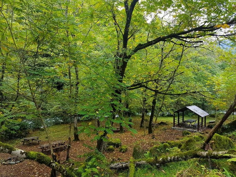 Mtirala National Park 2-Day Guided Hiking Tour from Kutaisi - The Itinerary: A Detailed Breakdown
