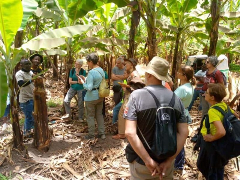 Mto wa Mbu: Village Cultural Tour with Local Market Visit - Why This Tour Is Worth Considering
