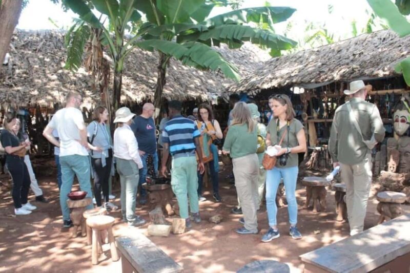 Mto wa Mbu: Village Cultural Tour with Local Market Visit - FAQ