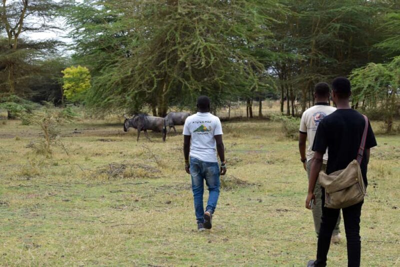 Mto wa Mbu: Waterfall, Maasai Boma, Village, & Balaa Hill - Key Points
