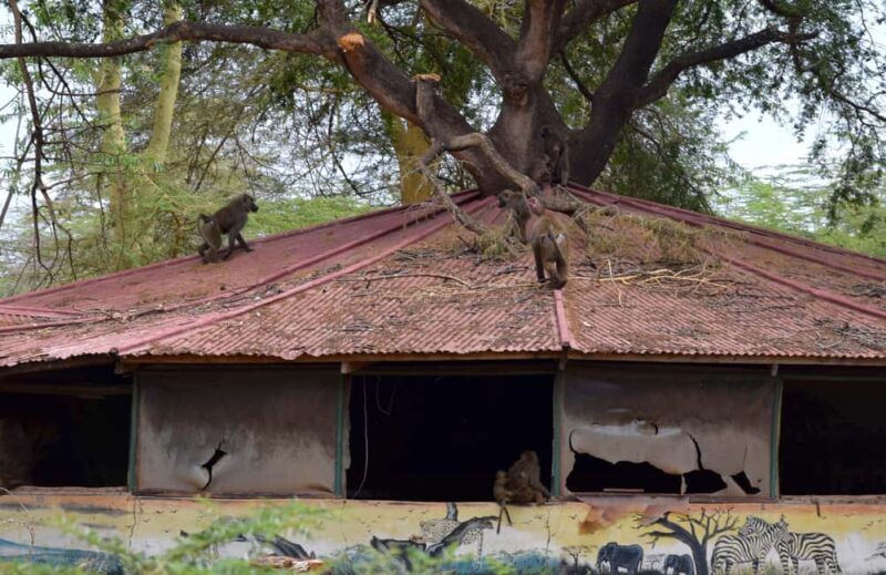 Mto wa Mbu: Waterfall, Maasai Boma, Village, & Balaa Hill - The Sum Up