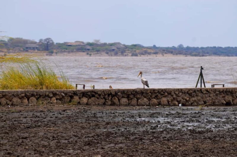 Mto wa Mbu: Waterfall, Maasai Boma, Village, & Balaa Hill - FAQ