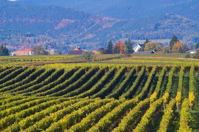 mtskheta-jvari-private-tour-unesco-sites