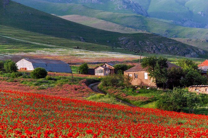 Mtskheta,Jvari,Gori,Uplistikhe(private tour) - FAQ