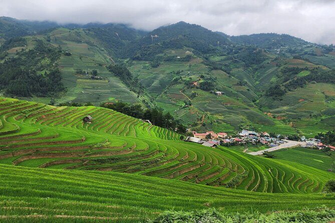 Mu Cang Chai Full Day Trekking Tour - Key Points