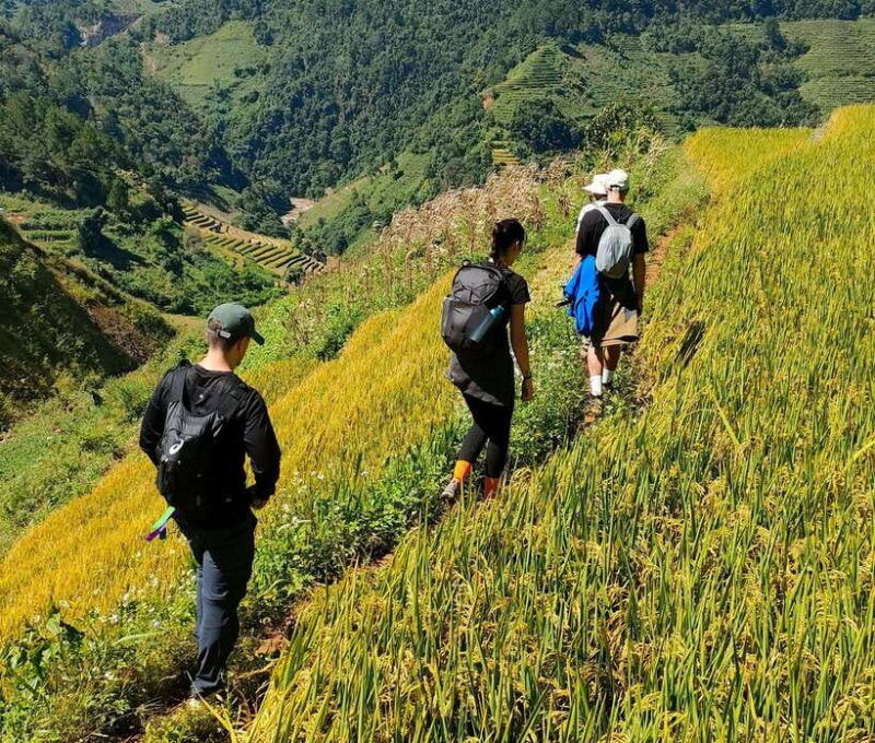 mu-cang-chai-highlights-3-hour-guided-hiking-trip