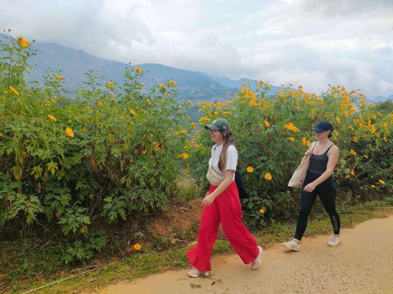 mu-cang-chai-highlights-3-hour-guided-hiking-trip