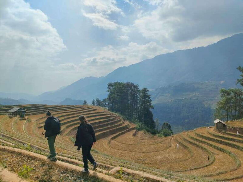 mu-cang-chai-highlights-3-hour-guided-hiking-trip
