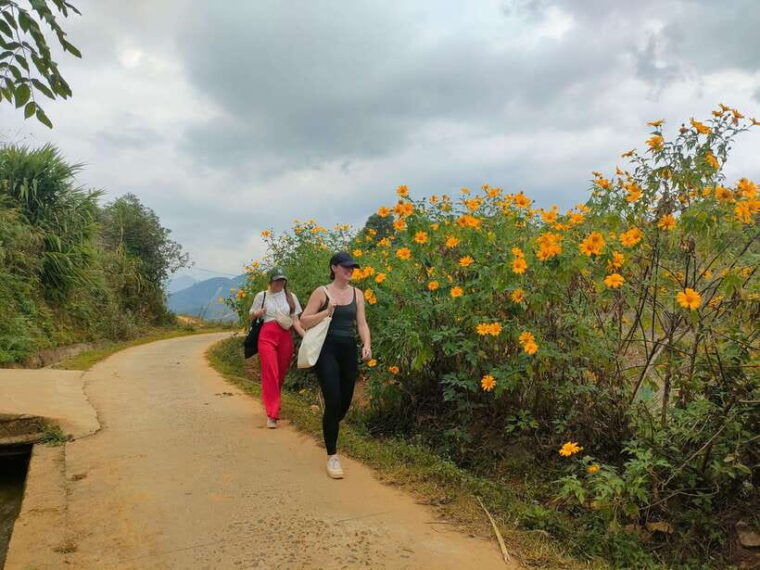 mu-cang-chai-highlights-3-hour-guided-hiking-trip