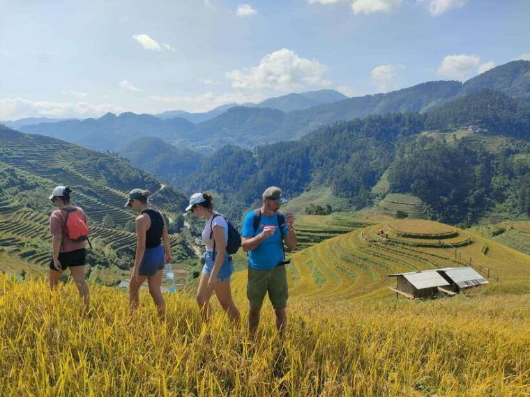 mu-cang-chai-highlights-3-hour-guided-hiking-trip