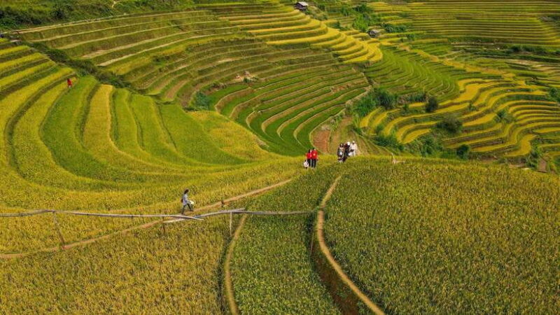 Mu Cang Chai: Motorbike Adventure with Waterfalls & Villages - What You Can Expect from the Experience